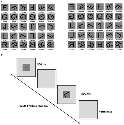 Objects Mental Rotation under 7 Days Simulated Weightlessness Condition: An ERP Study